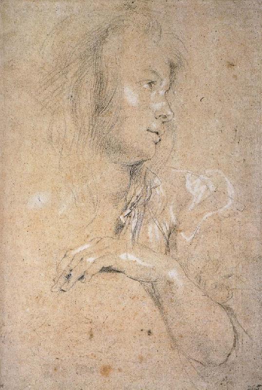 Peter Paul Rubens Study of Head china oil painting image